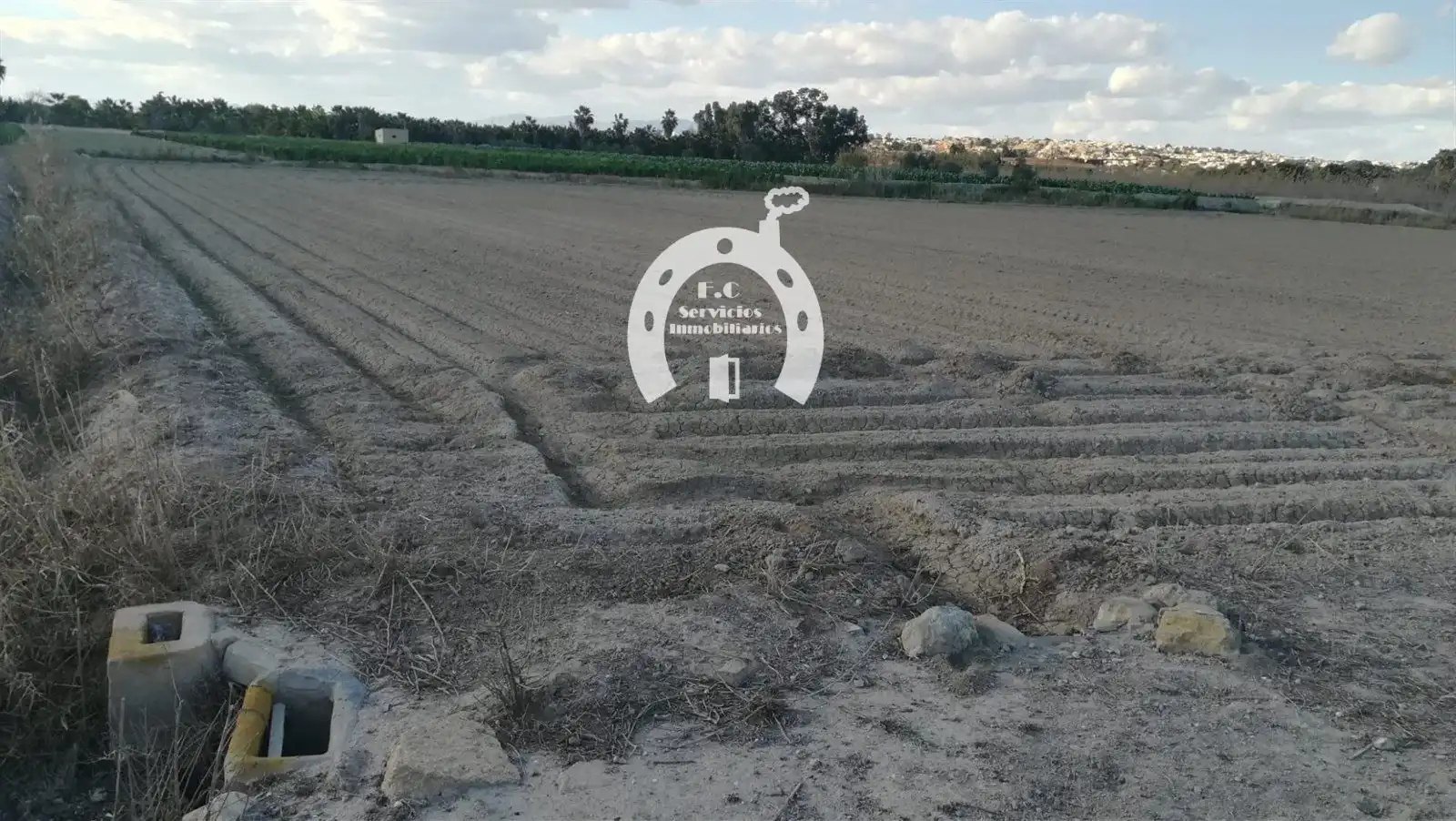 Terreno rustico in vendita a San Fulgencio