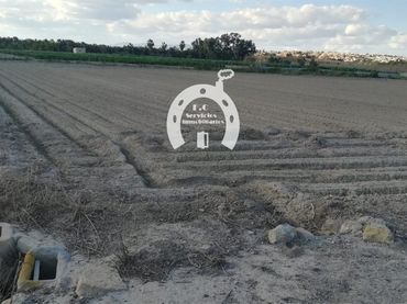 Terreno rústico en venta en San Fulgencio