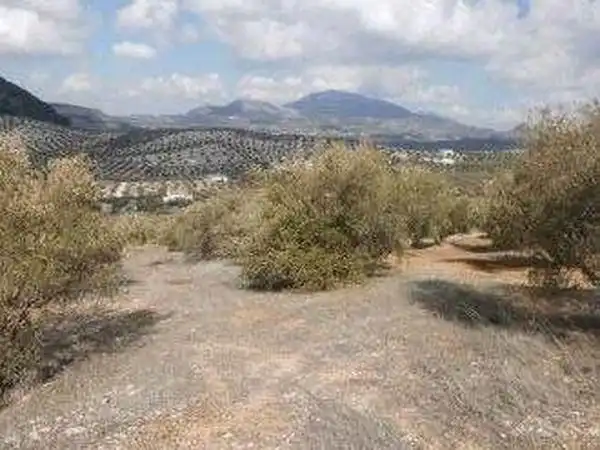 Terreni e lotti in vendita a Alcaudete, imagen 17