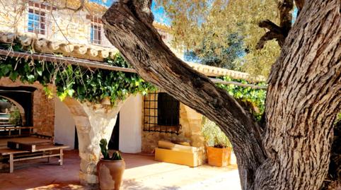 Foto 4 de Finca rústica en venta en Senija, Alicante