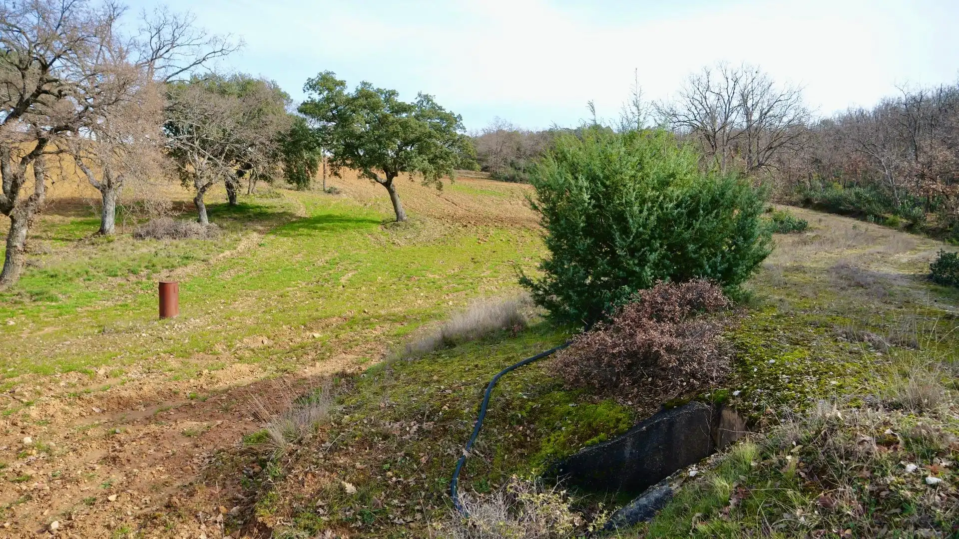 Land for sale in Arbancón