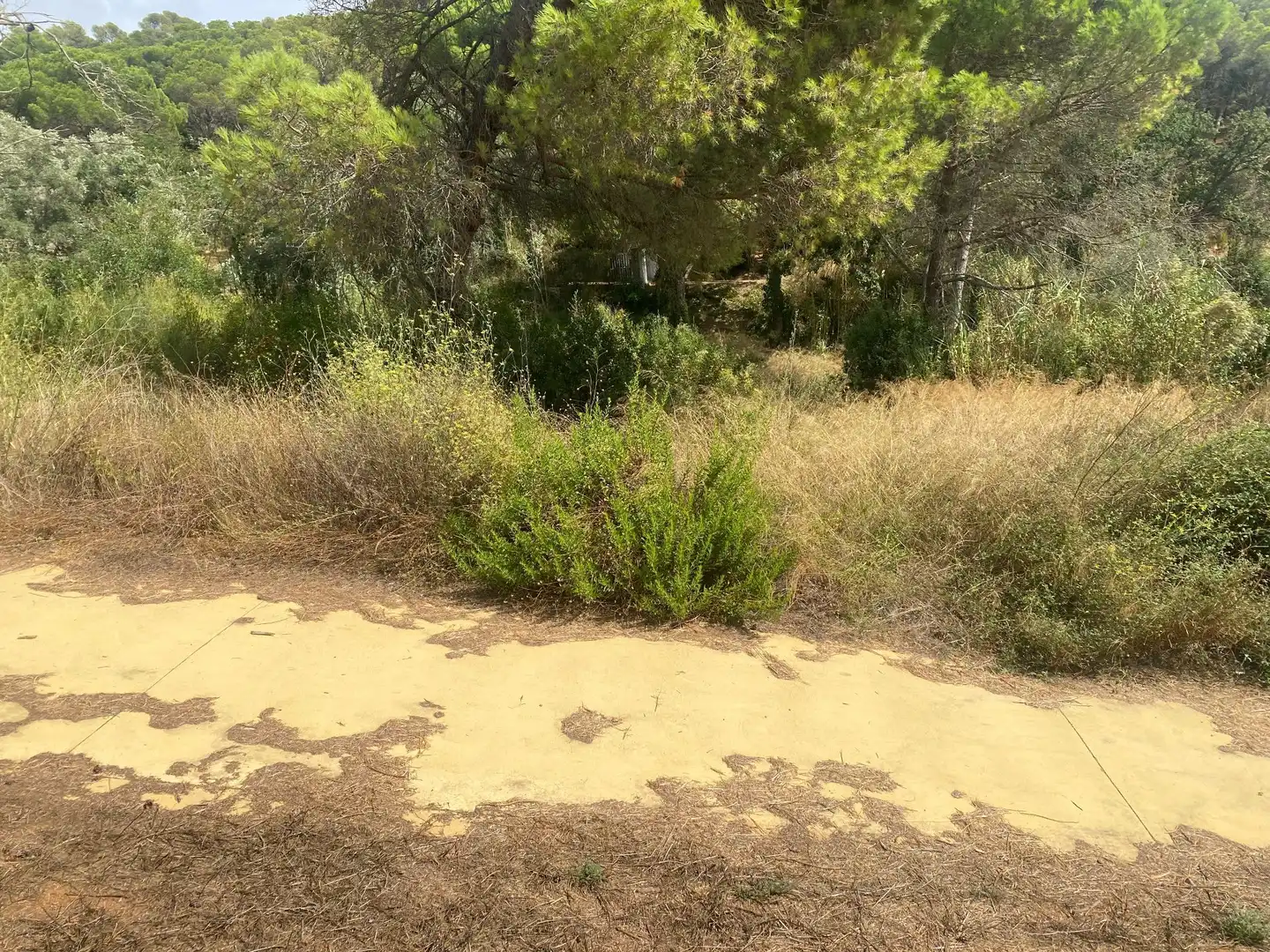 Grundstücke und Bauplätze zum Verkauf in Sant Joan - Vilarromà, imagen 5