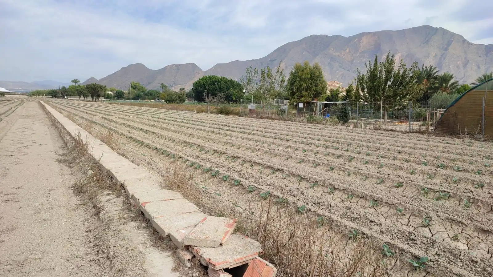 Finca rústica en venda en Orihuela amb Jardí privat