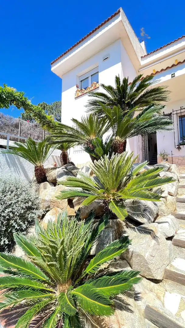 Jardín de Casa o chalet en venta en Sant Pol de Mar con Calefacción, Jardín privado y Terraza