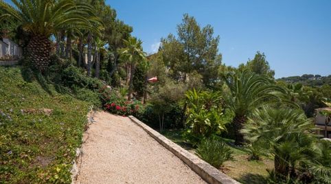 Photo 3 of Houses for sale in Calvià - Carrer Pinar, Costa de la Calma, Calvià