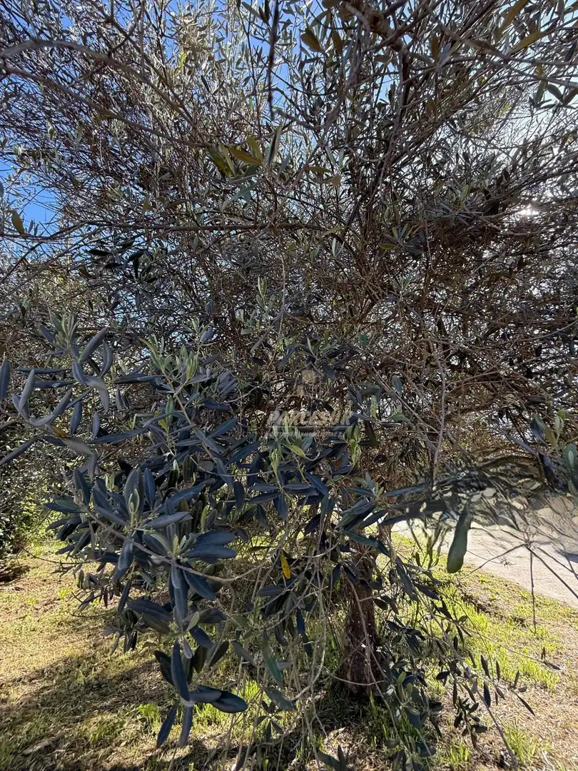 Maison à vendre à Almodóvar del Río, imagen 11