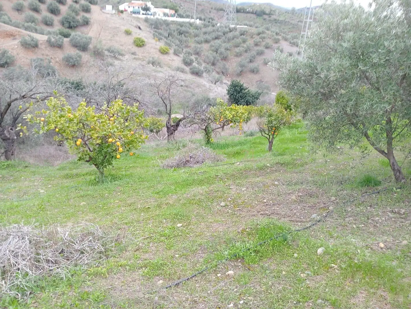Casa o xalet en venda en Cártama amb Jardí privat, Traster i Piscina