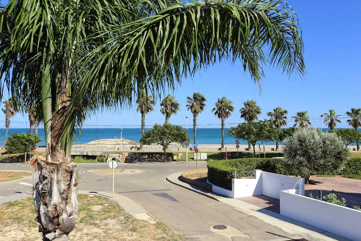 Vista exterior de Casa o chalet en venta en Alcanar