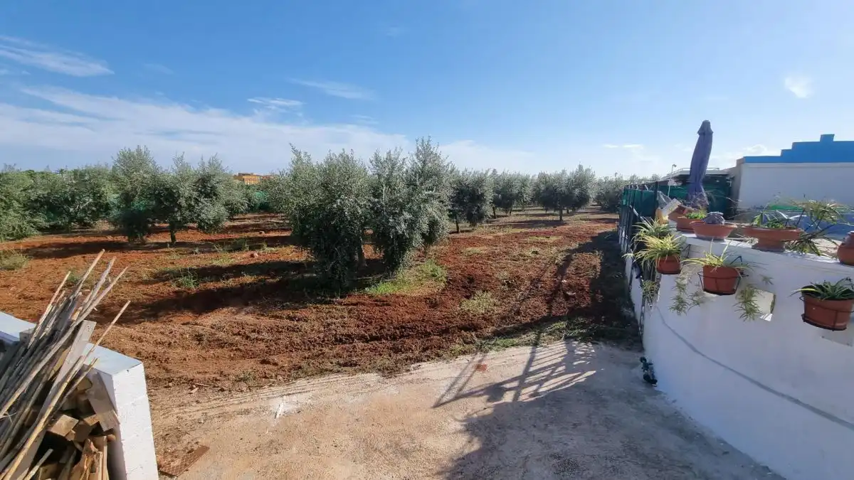Villa à vendre à CUADRA LA TORTA, imagen 13