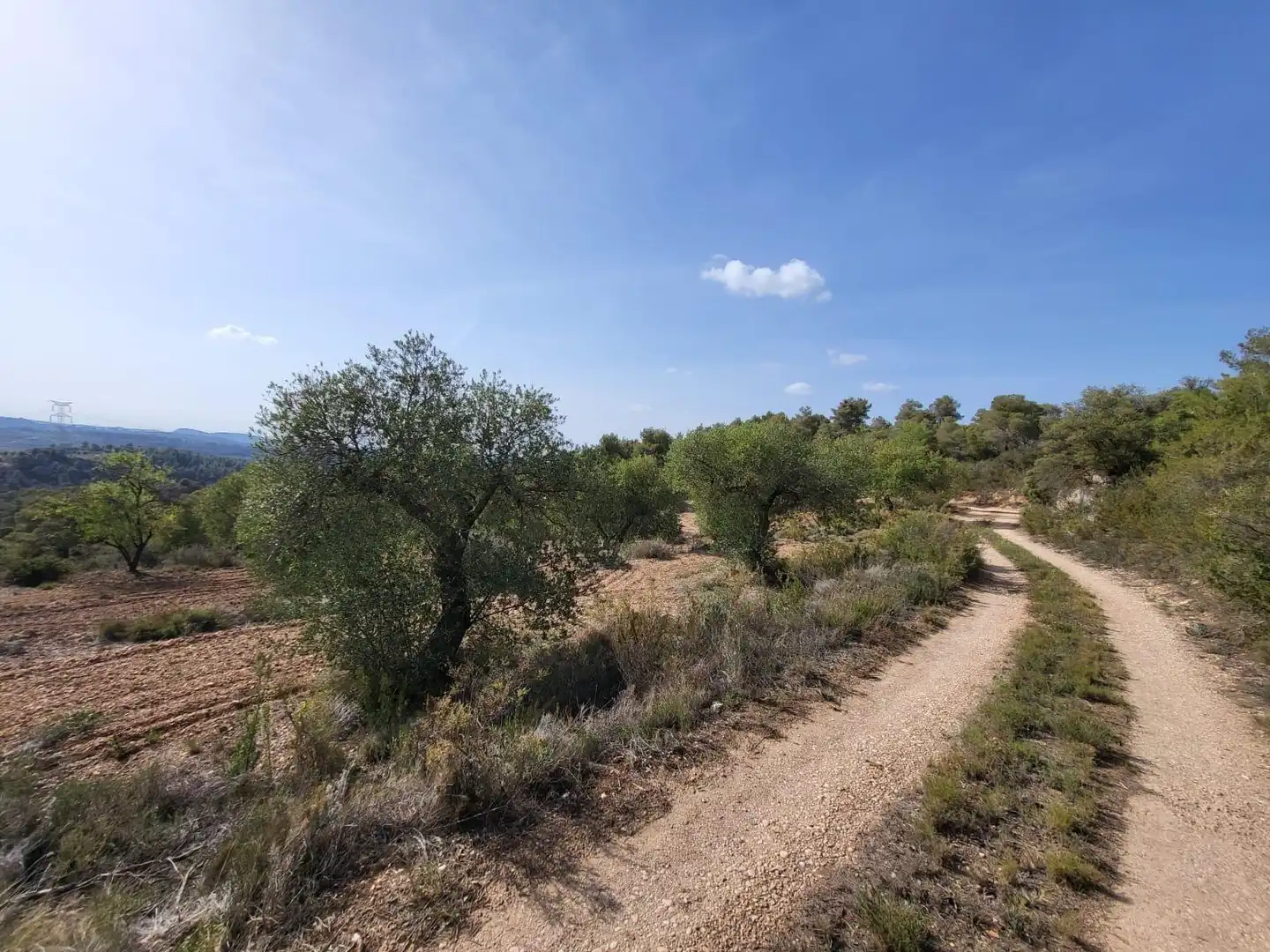 Terreno rustico in vendita a Calle GARRIGUES, imagen 10