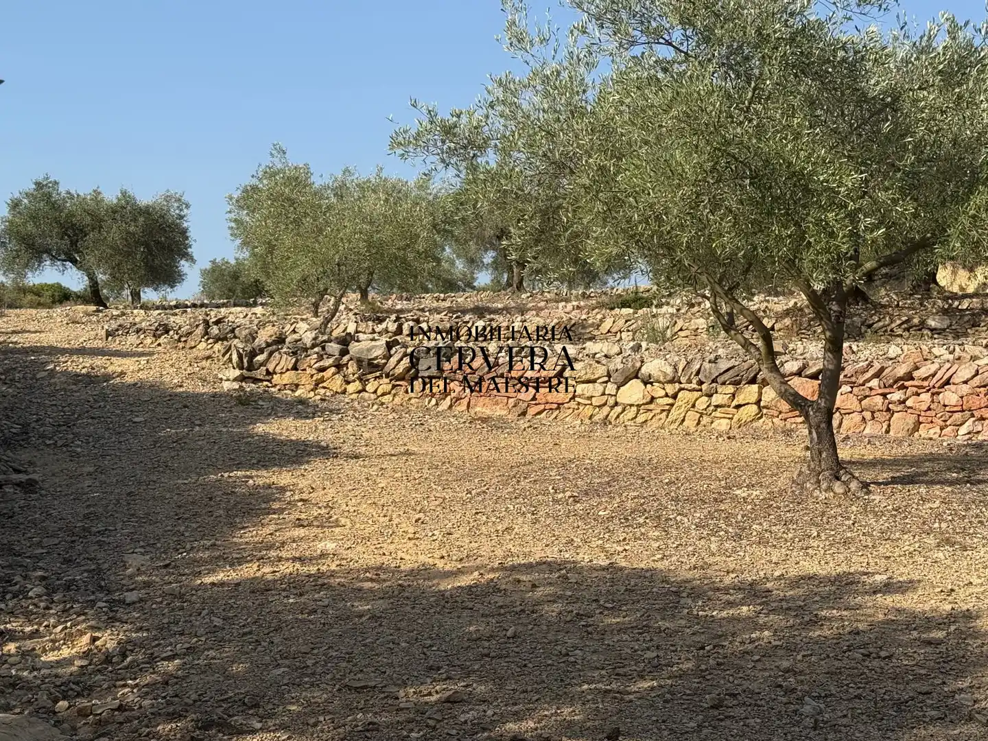 Terreno rustico in vendita a Cervera del Maestre, imagen 2