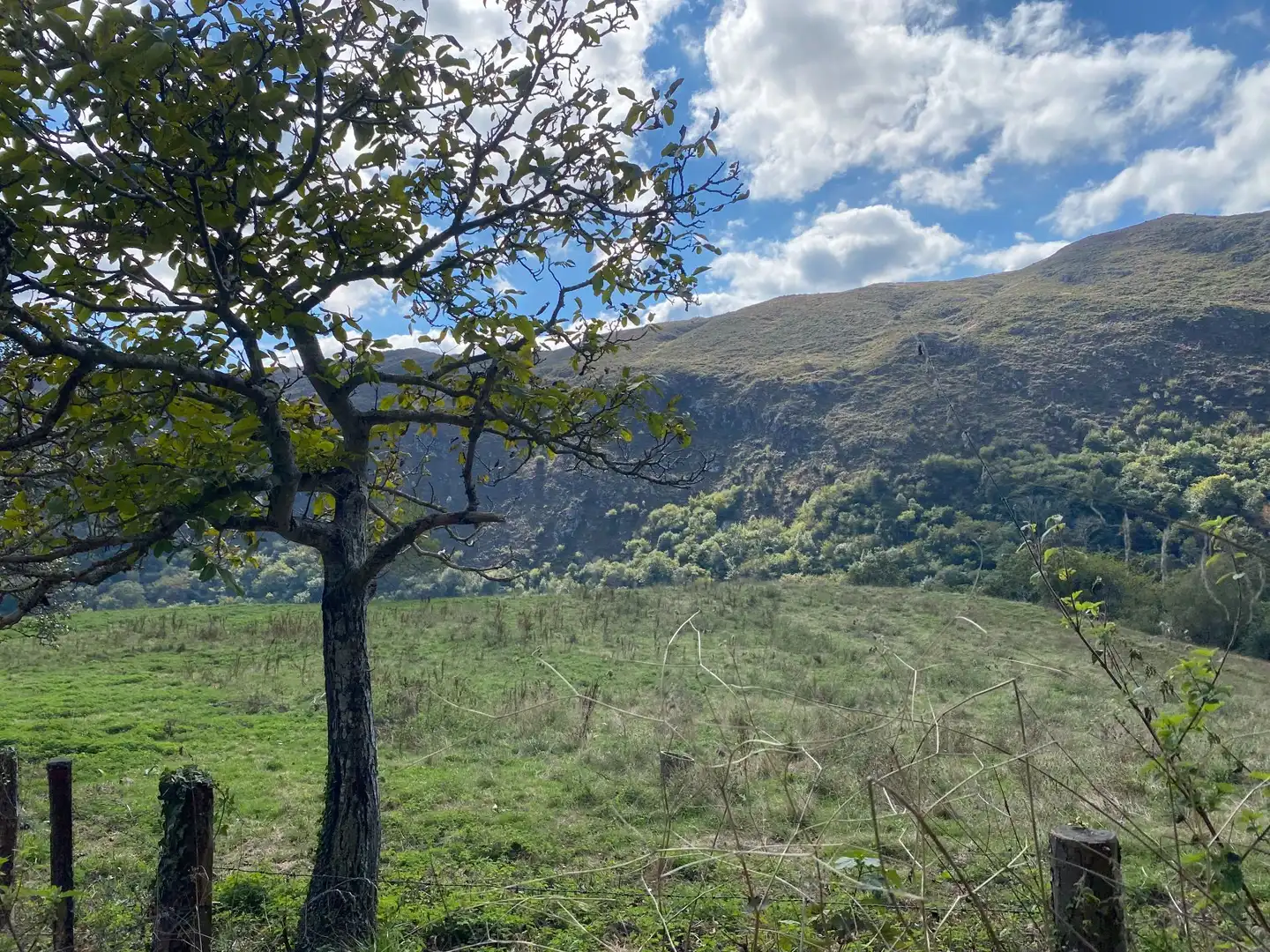 Maison avec jardin à vendre à Tresmonte, imagen 71