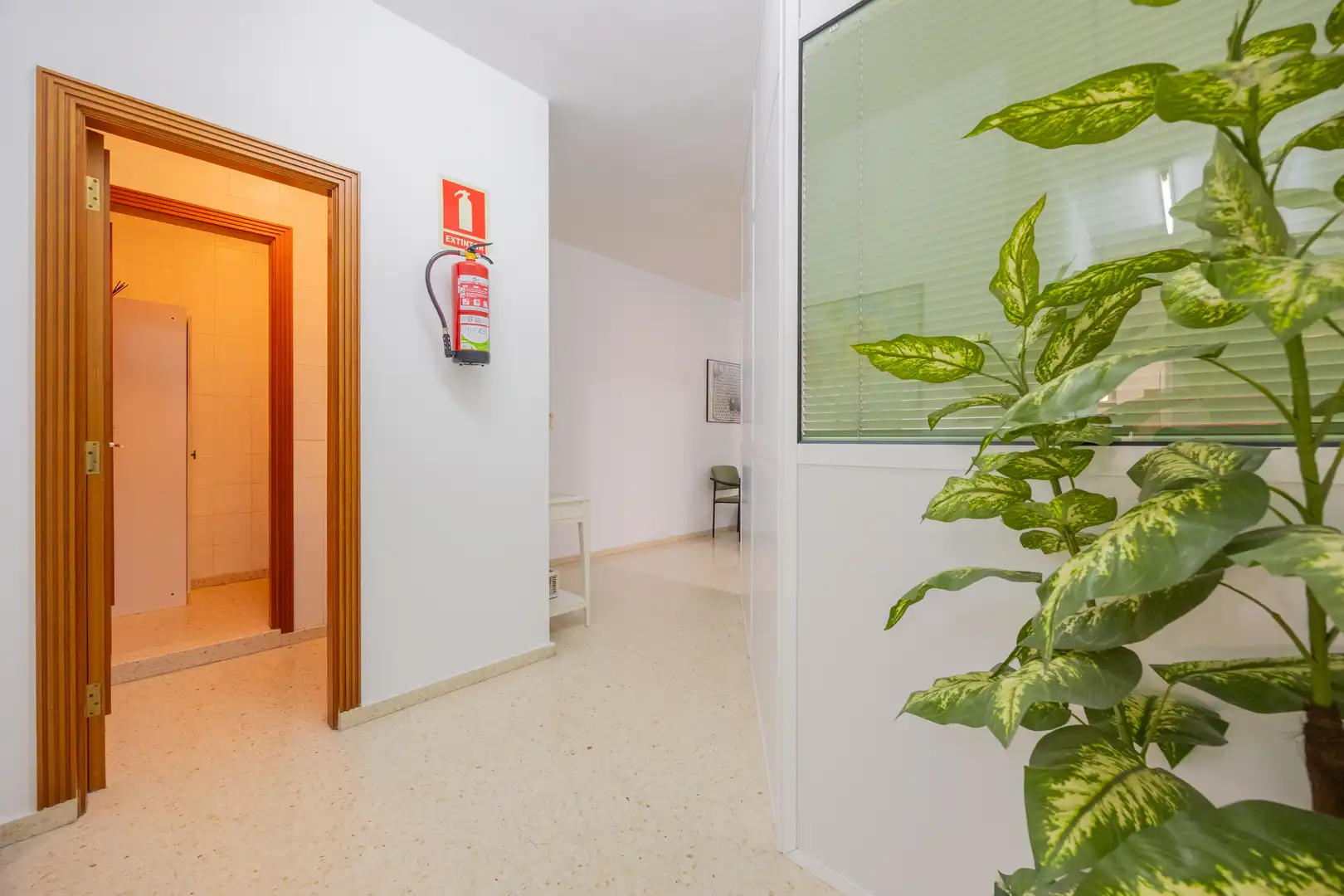 Büro zur Miete in Las Palmas de Gran Canaria