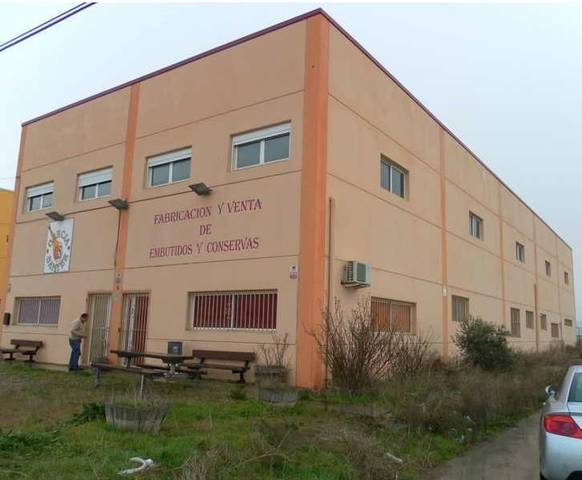 Terreno industrial en Venta en Calle Agustina de Aragón en Erla