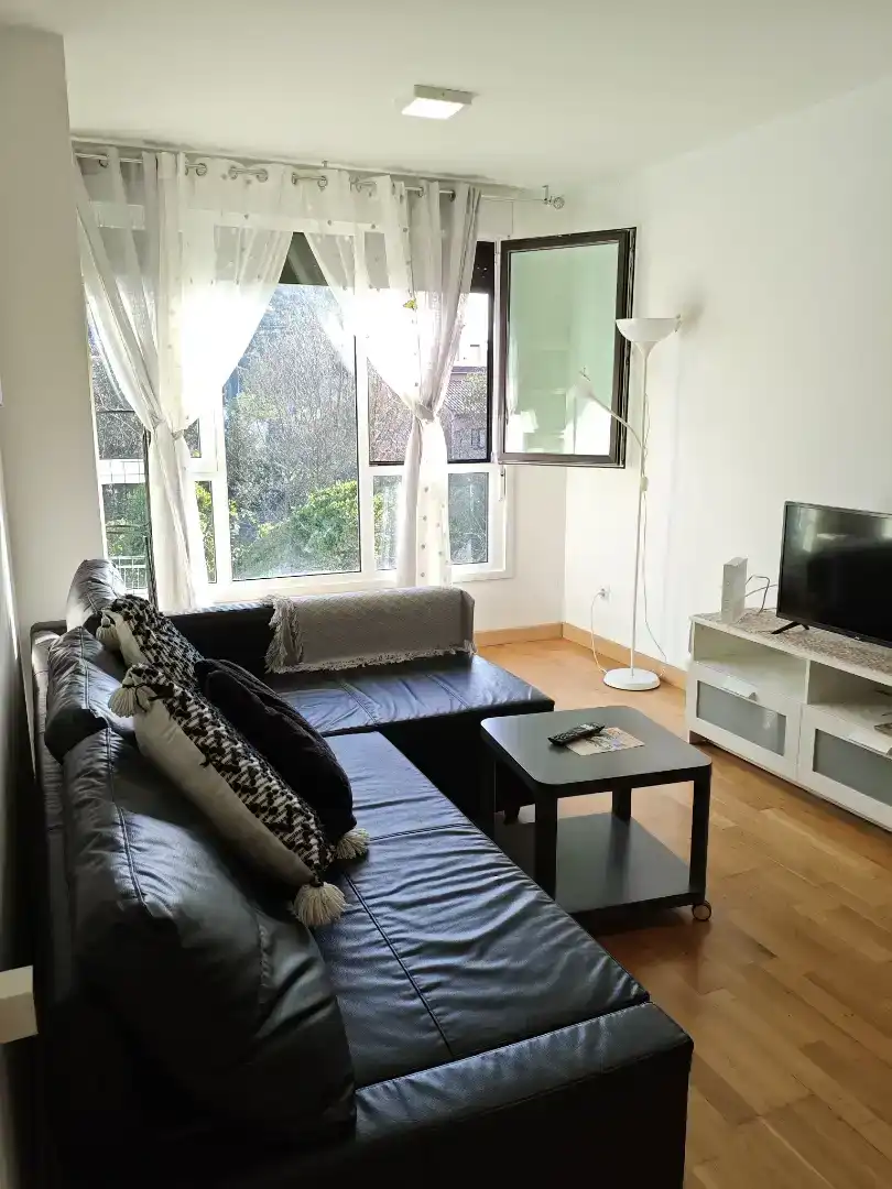 Living room of Flat for rent in Medio Cudeyo