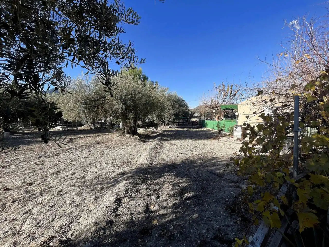 Maison à vendre à Moratalla, imagen 9