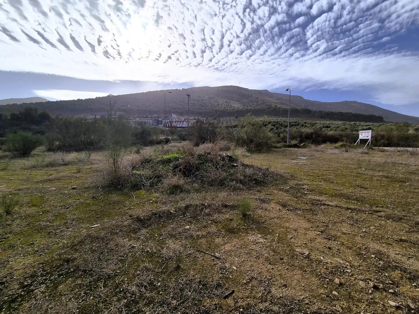 Terreny industrial en venda a Loja, imagen 5