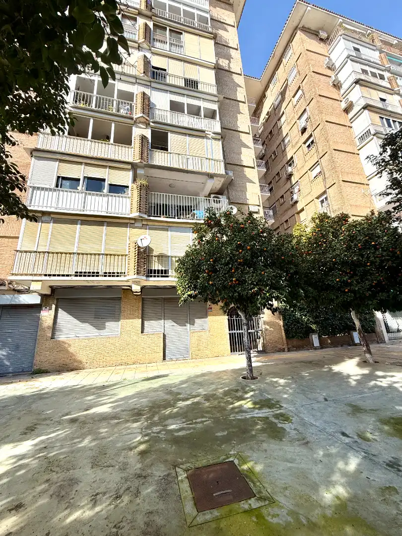 Exterior view of Flat for sale in Mairena del Aljarafe  with Terrace and Balcony