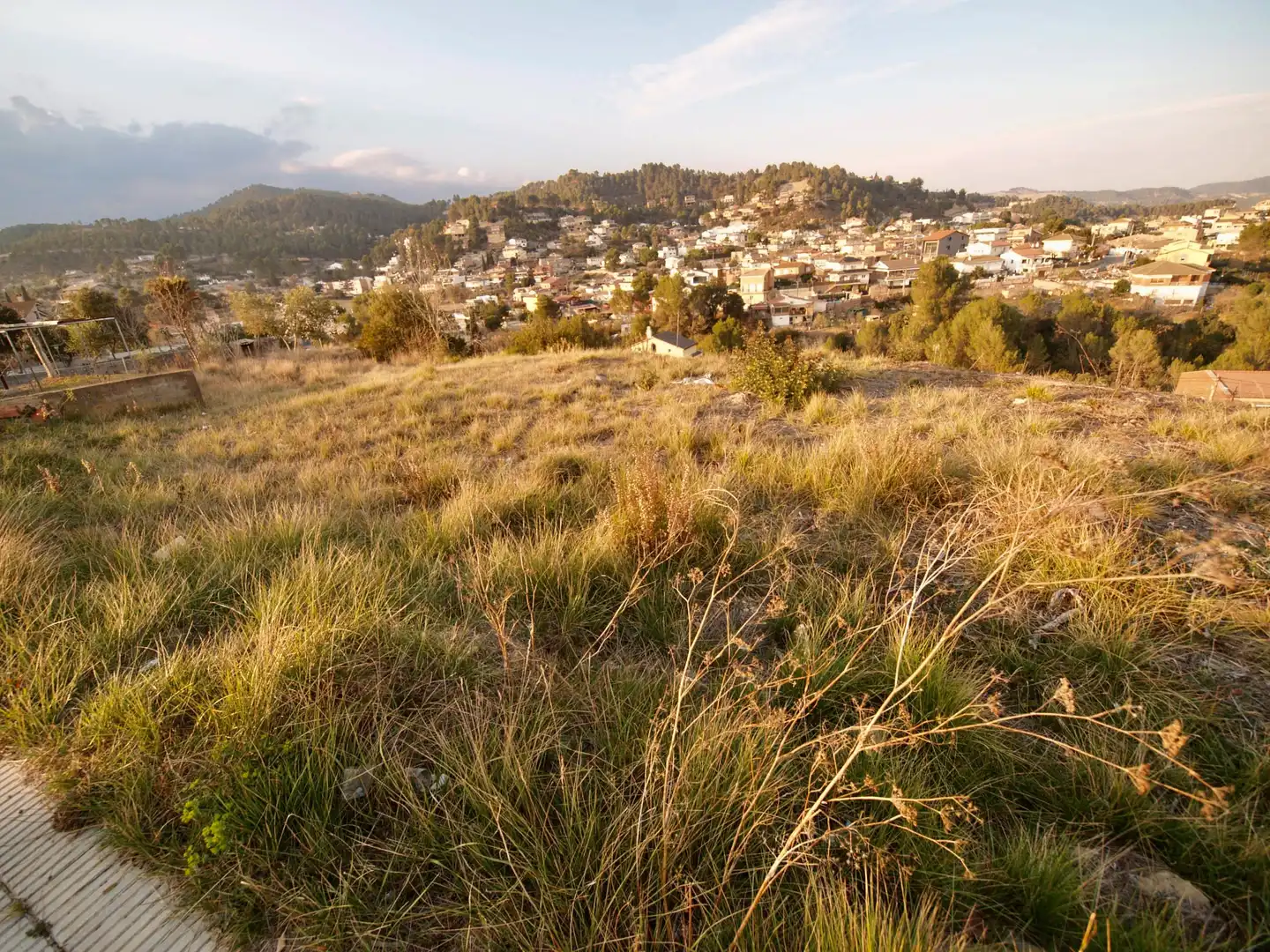 Terreny residencial en venda a Castellgalí, imagen 5