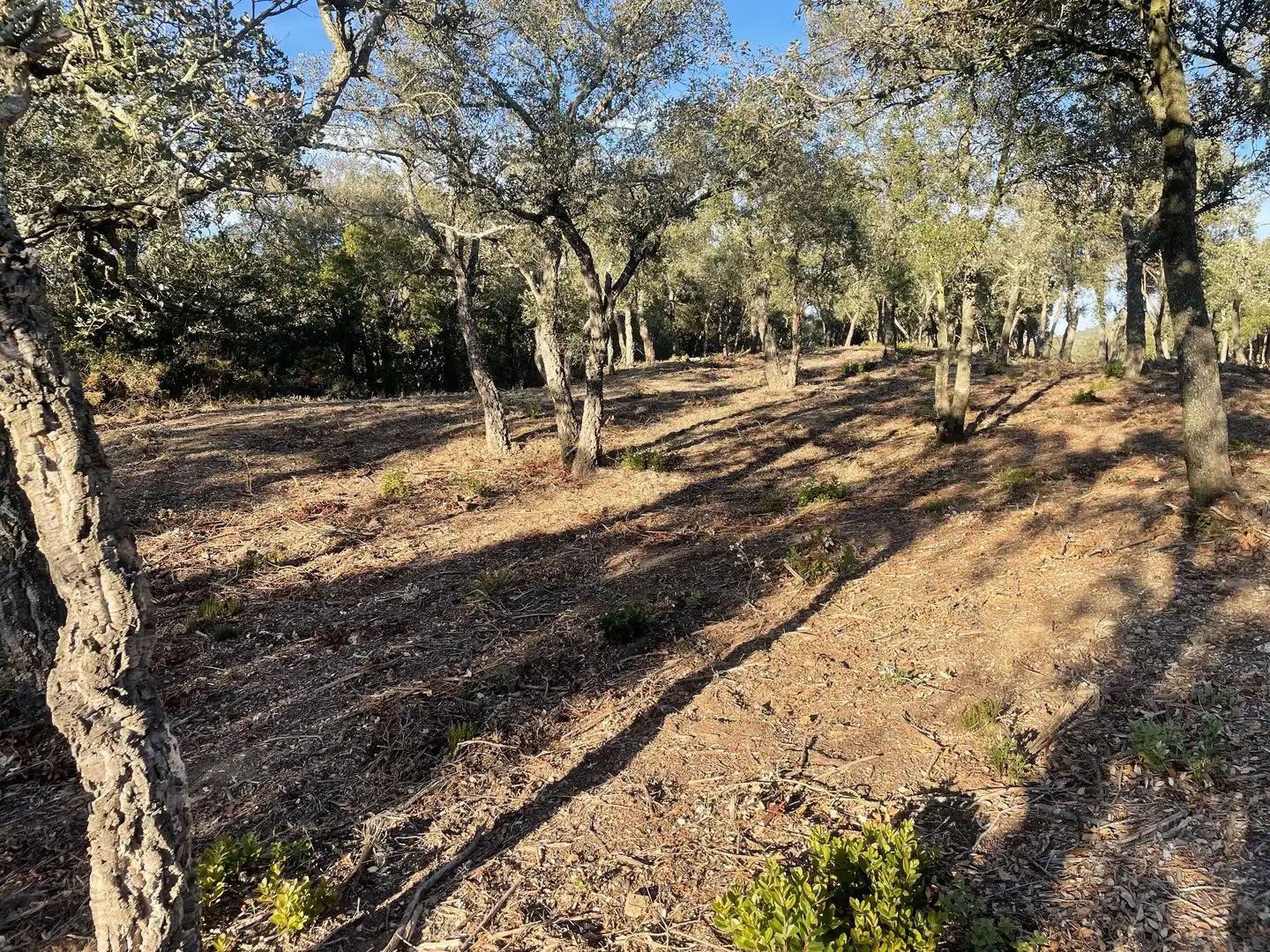 Finca rústica en venta en Quart con Calefacción, Jardín privado y Parquet