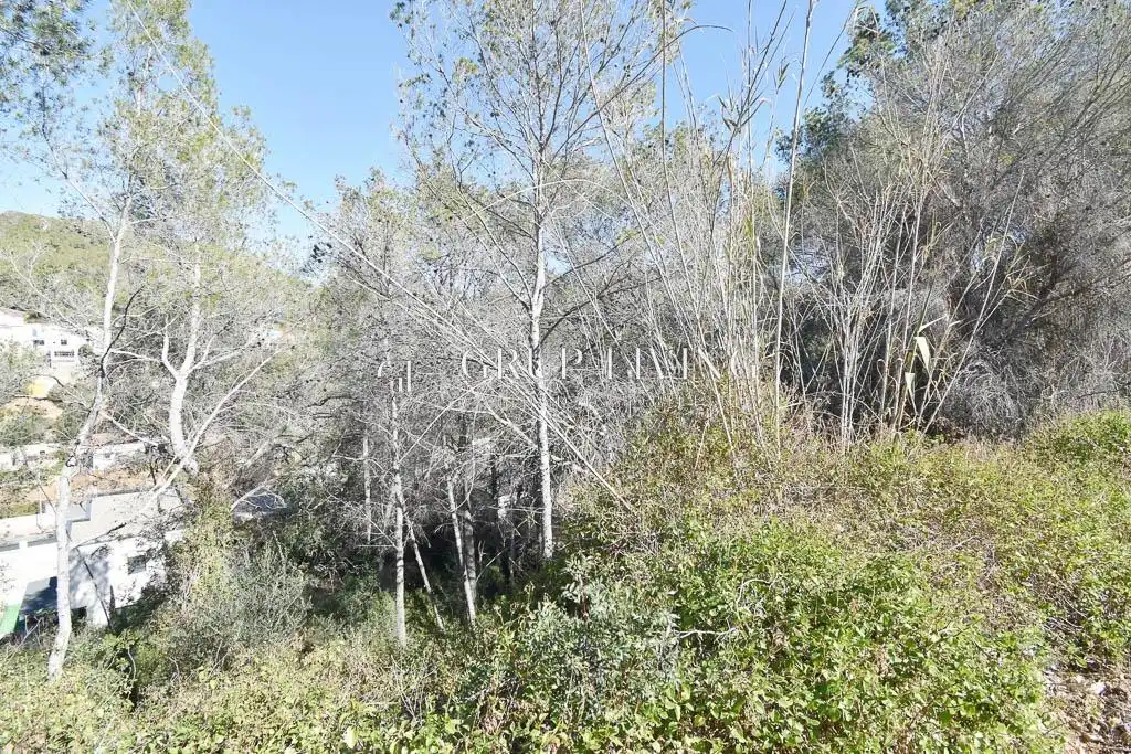Residential land for sale in Mas Alba, imagen 12
