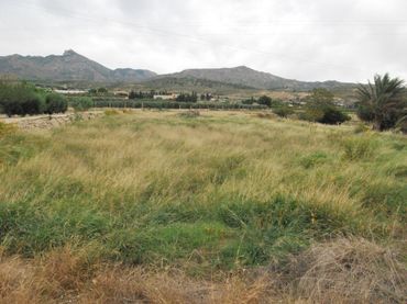 Terreny rústic en venda a Agost