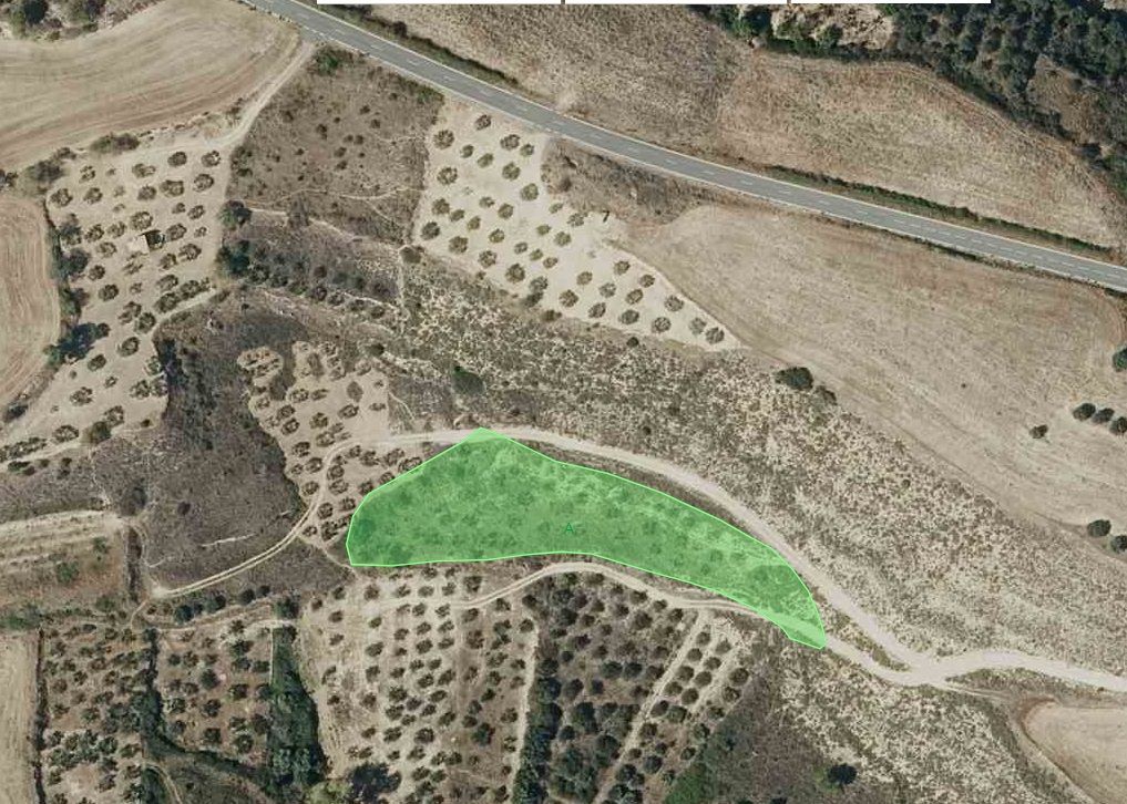 Terreno en venta en Armañanzas