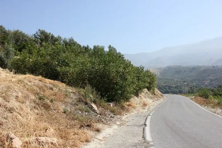 Terreni e lotti in vendita a Andalucía, imagen 19