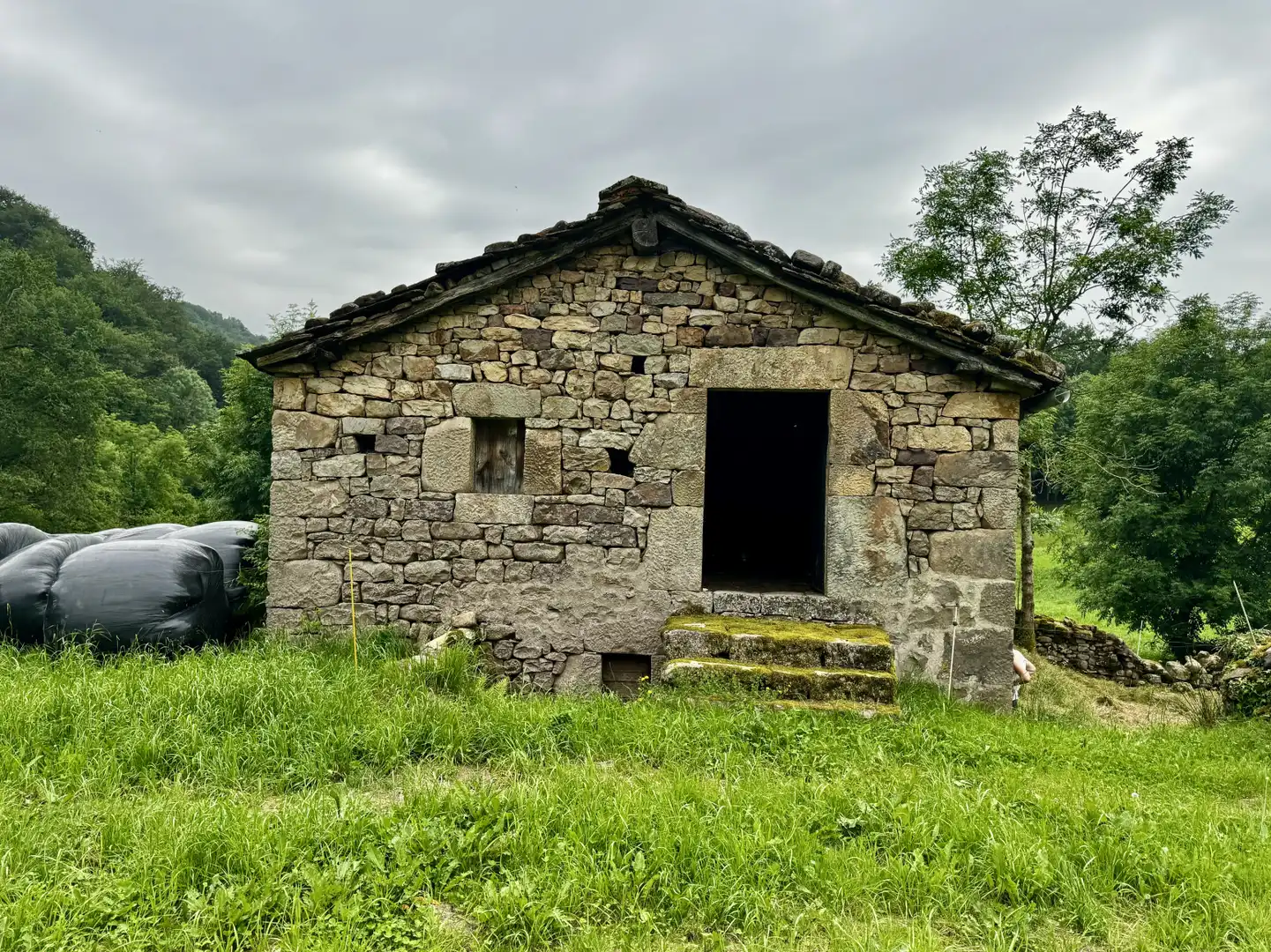 Vista exterior de Casa o chalet en venta en Selaya