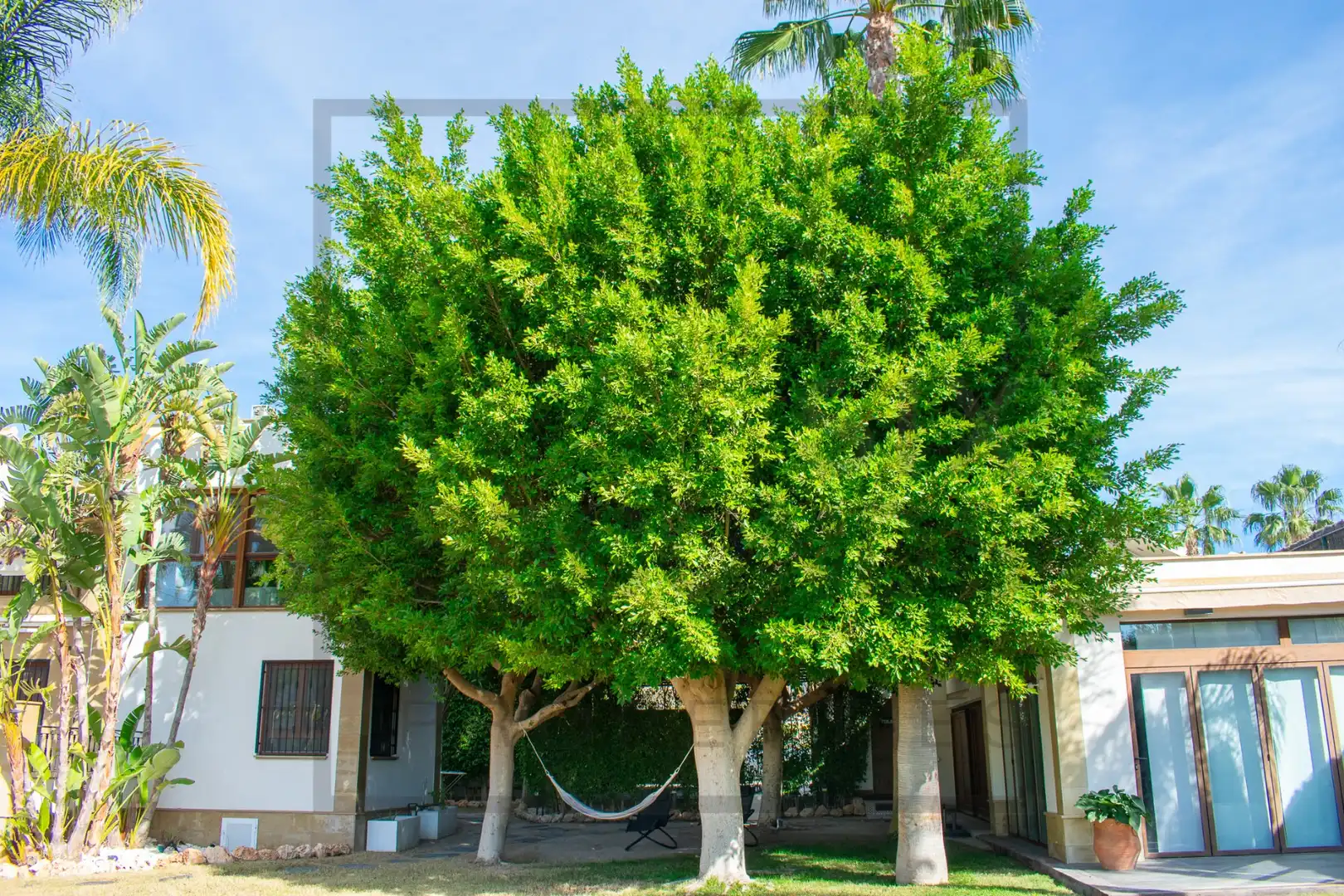 Casa con piscina en venta en Algorfa, imagen 84