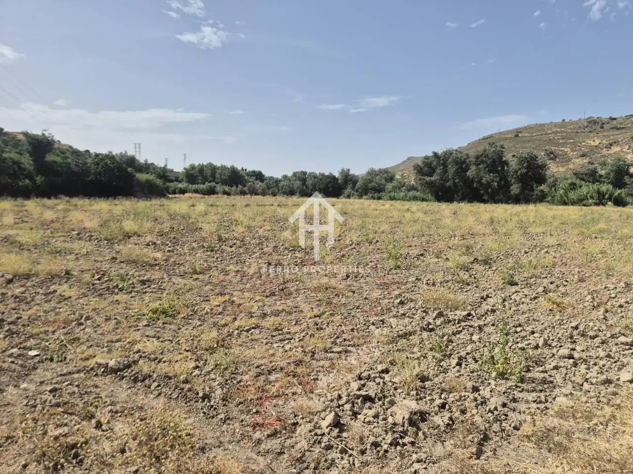 Terrain rustique à vendre à Loja, imagen 7