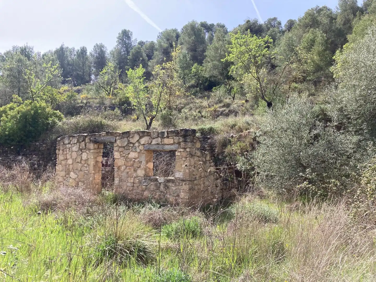 Terreni e lotti in vendita a Arens de Lledó