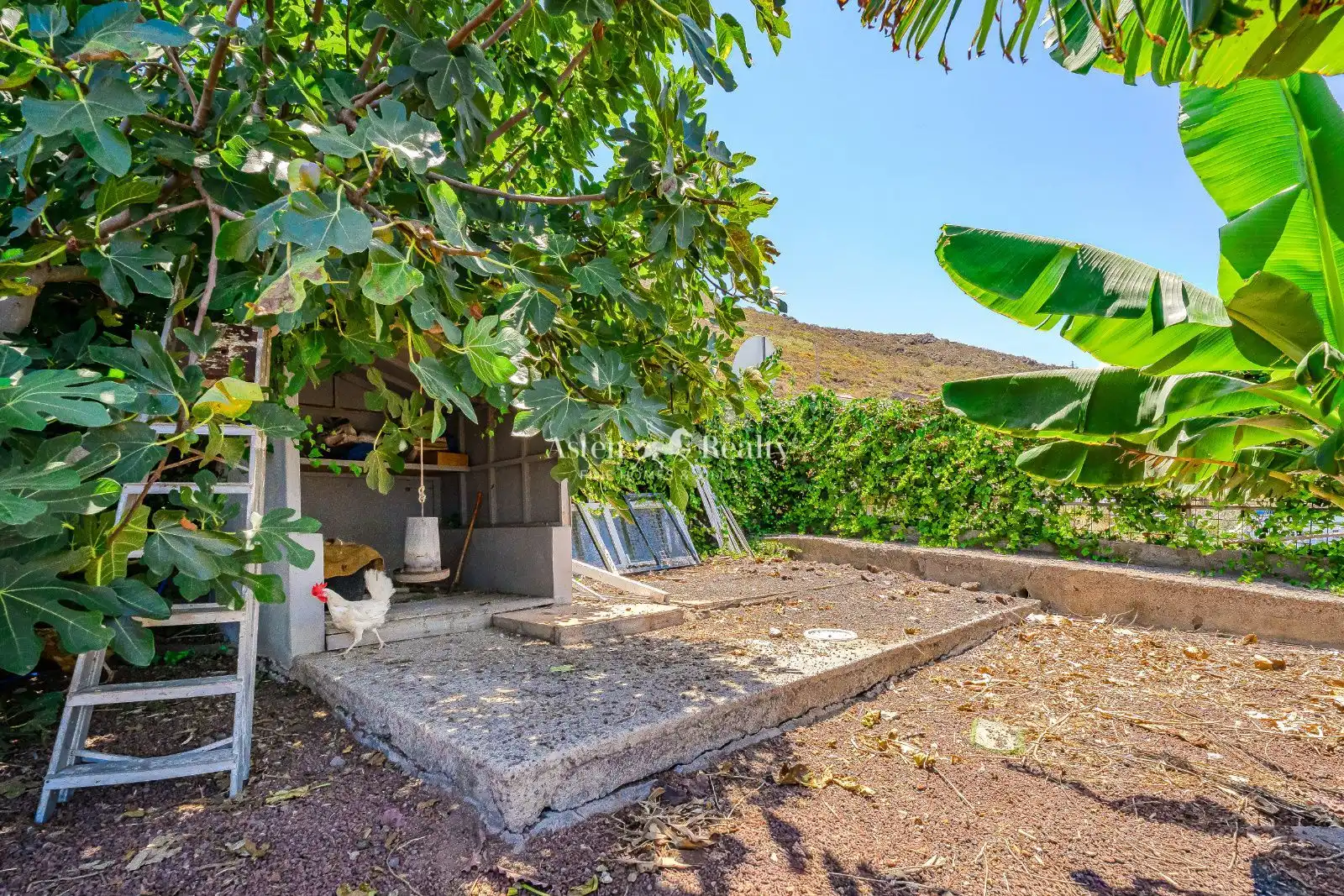 Casa o chalet en venta en San Cristóbal de la Laguna con Terraza, Trastero y Piscina
