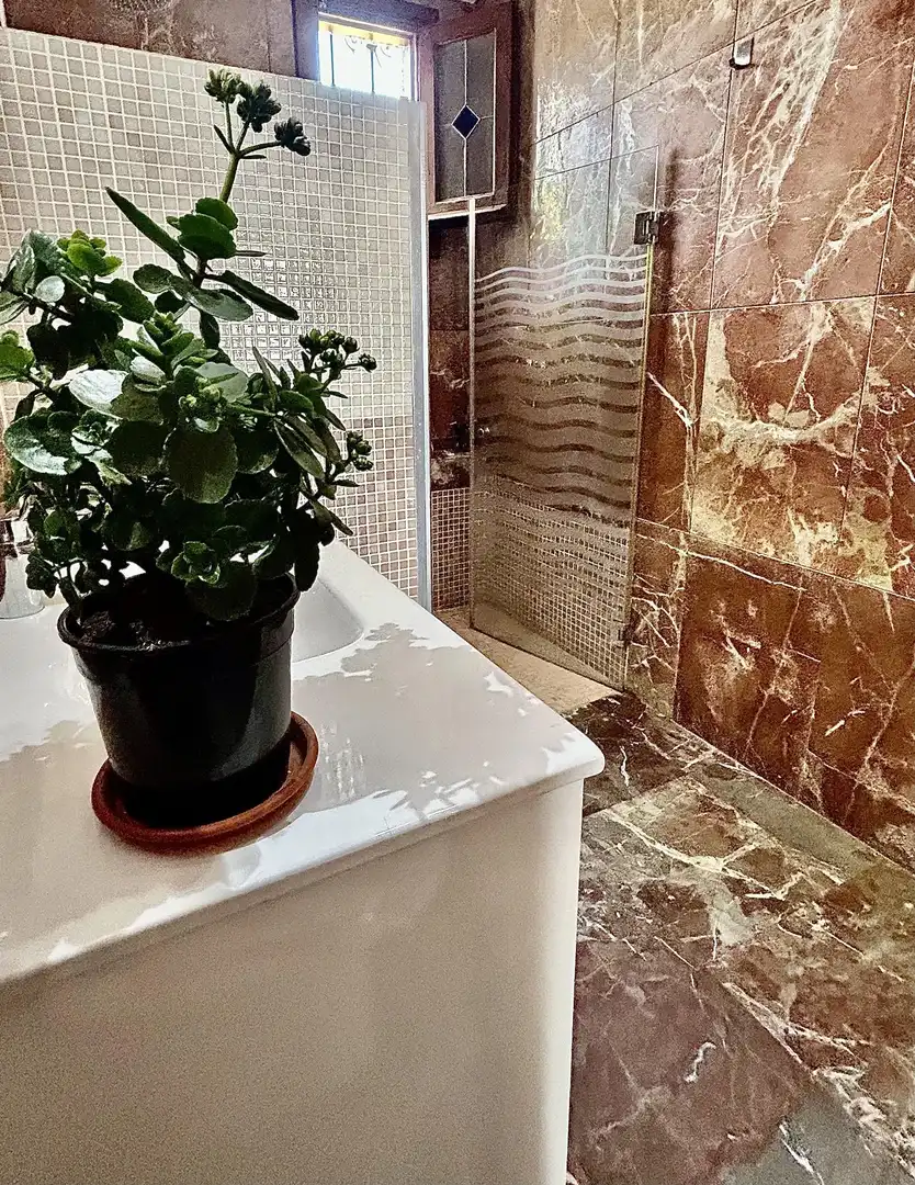 Baño de Casa o chalet en venta en Vélez-Málaga