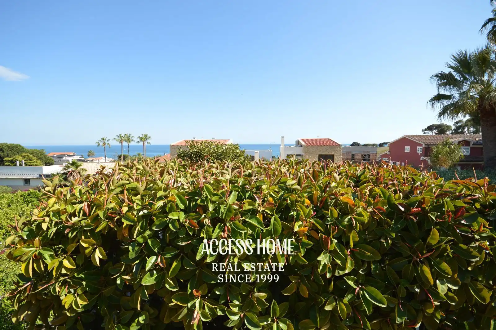 Rural land for sale in Alella, imagen 4
