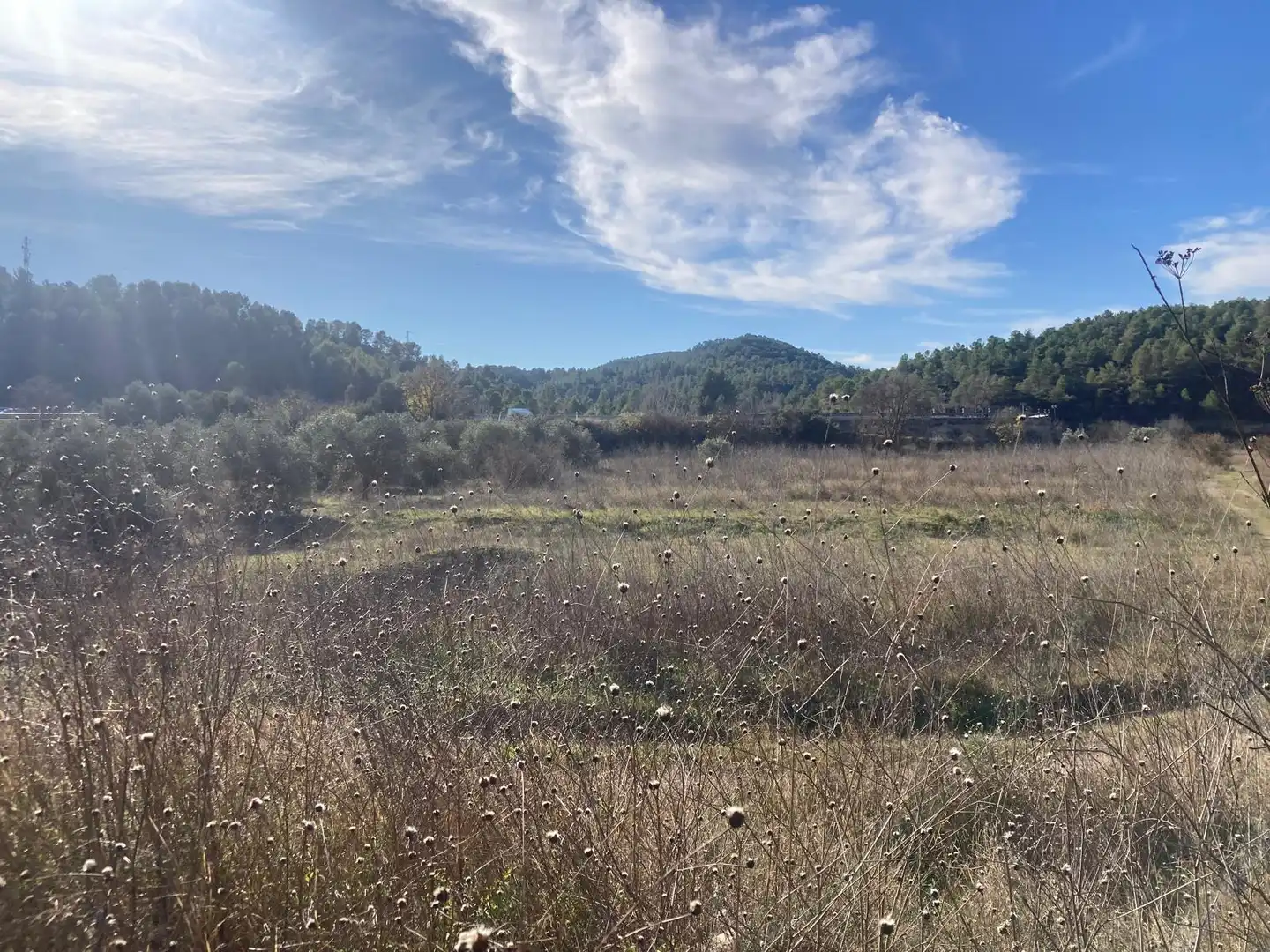 Terreno en venta en Caseres