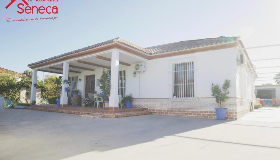 Photo 1 of House or chalet for sale in De la Alameda, Esquina con Los Chopos, La Carlota, Córdoba