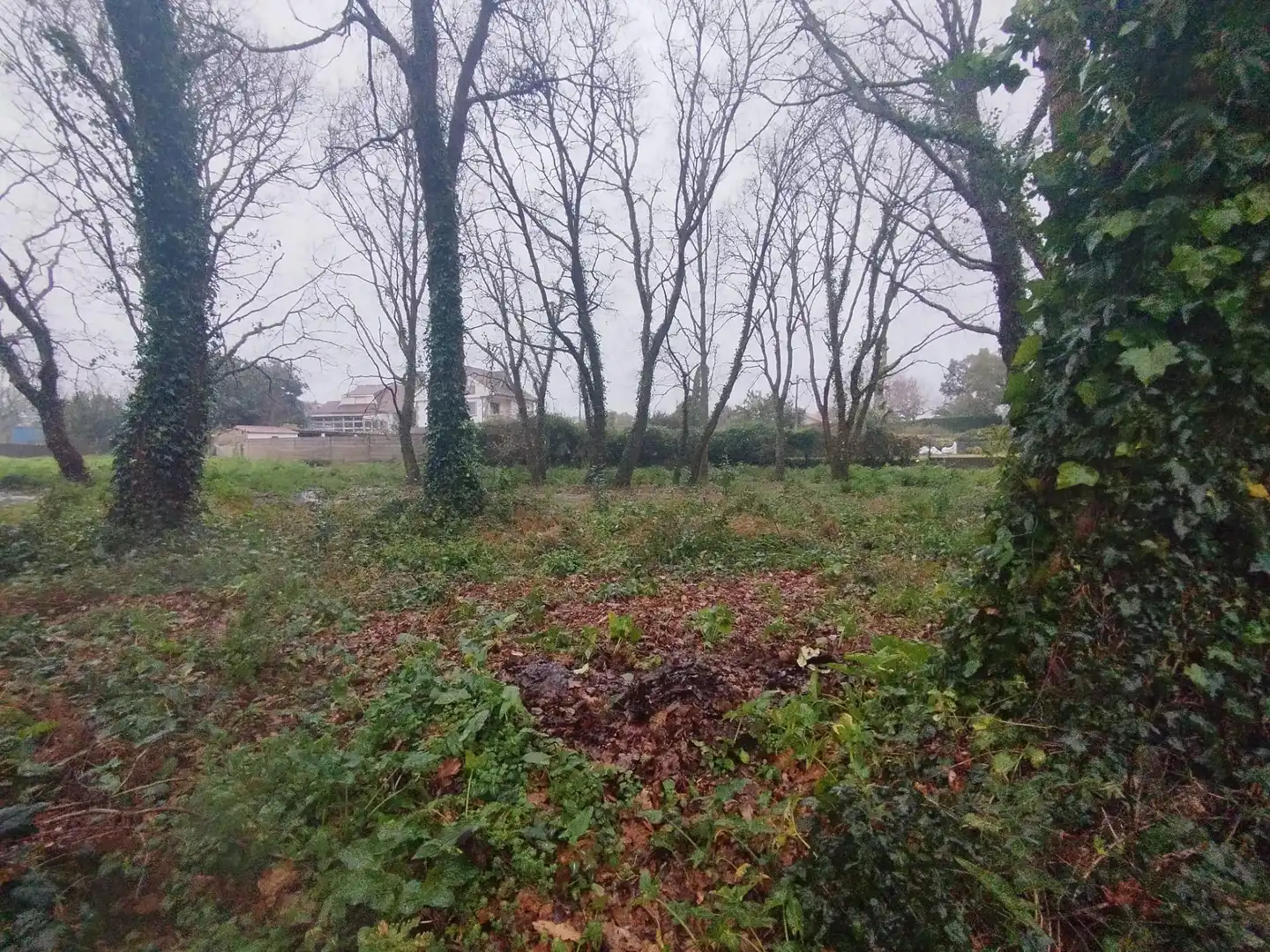 Terreno en venta en Tomiño