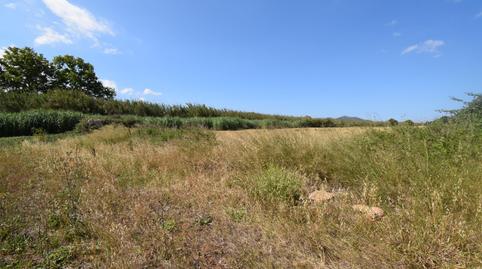 Foto 4 de Terreny en venda a Muro, Illes Balears