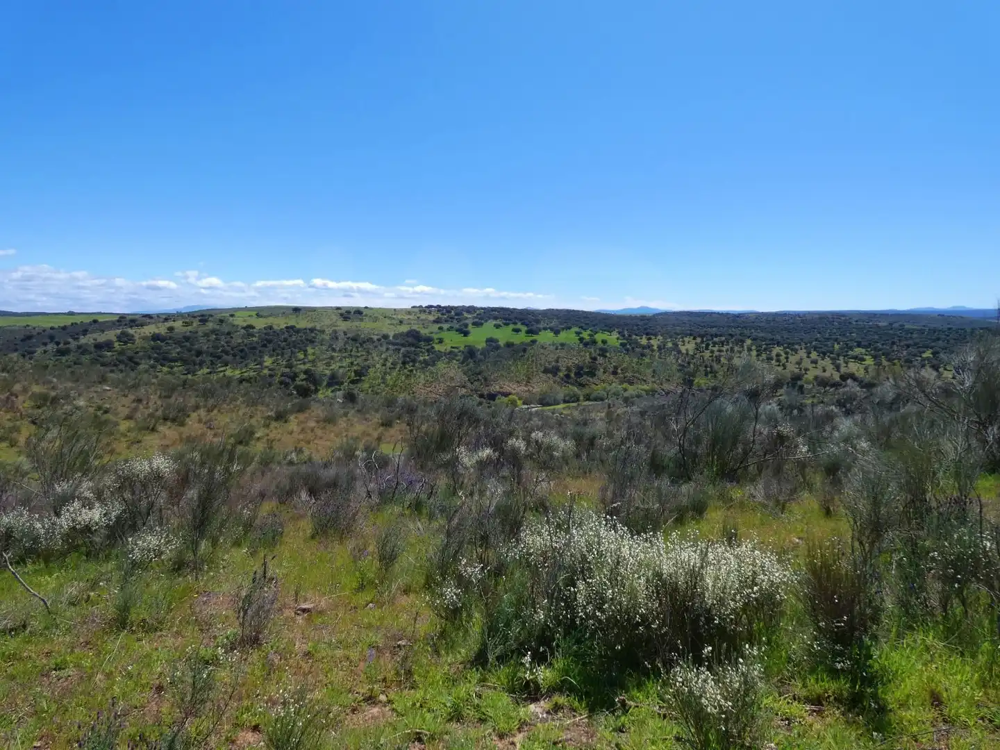 Terreny en venda en Gallegos de Argañán