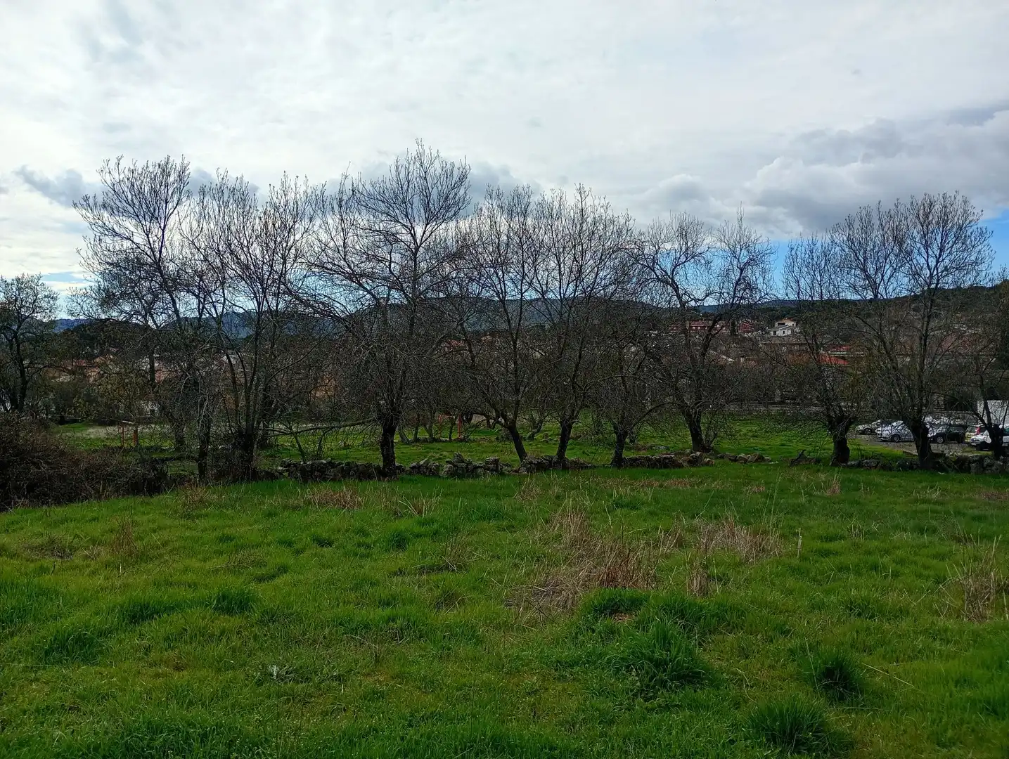 Terreni e lotti in vendita a Fresnedillas de la Oliva, imagen 17