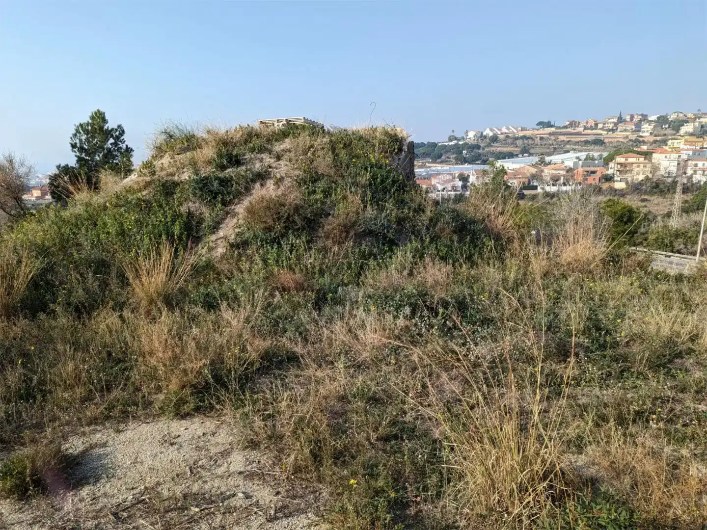 Terreno en venta en Califòrnia - Santa Madrona  
