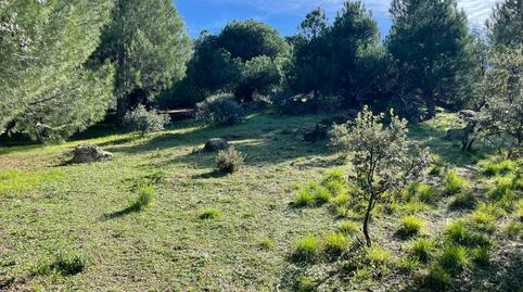 Photo 2 of Residential for sale in Avenida Sajonia, 4, Parquelagos - Puente Nuevo, Galapagar