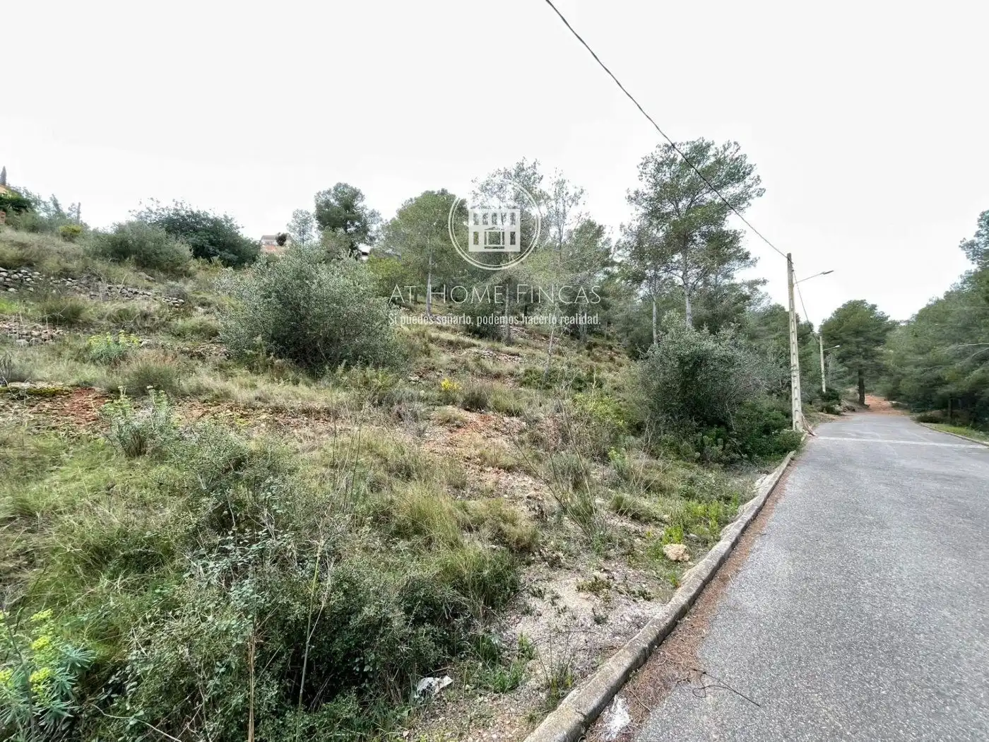 Rural land for sale in Segovia-Priorat, imagen 3
