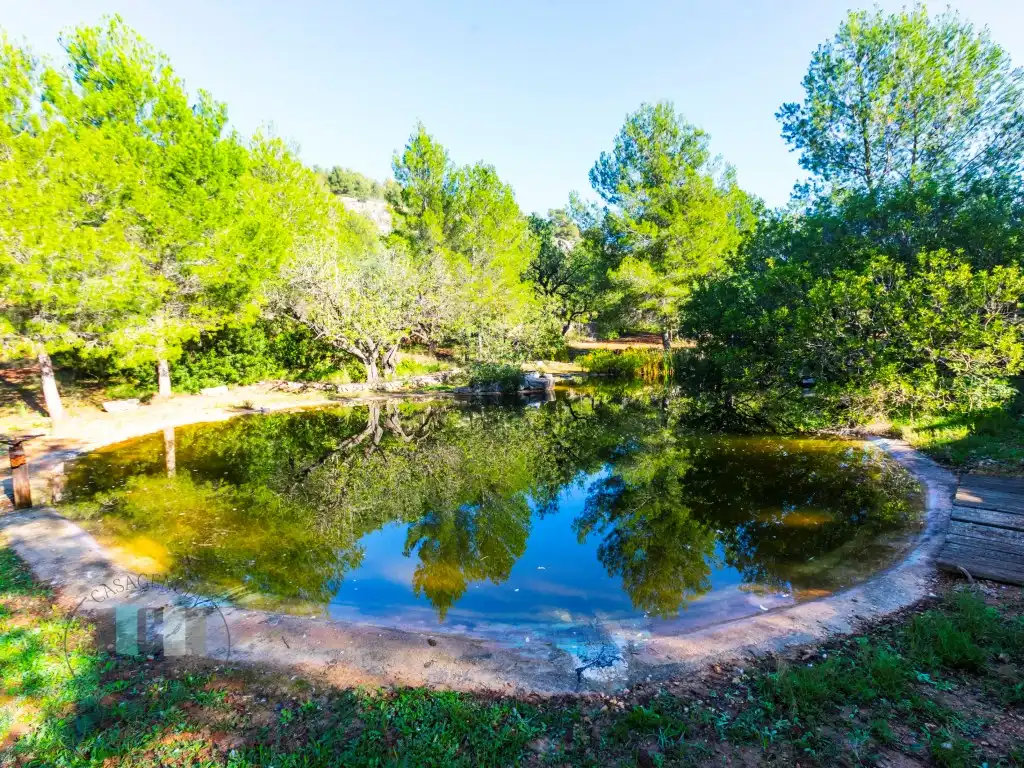 Commercial properties for sale in Calle Pedrapiquers (Dels), Borriol