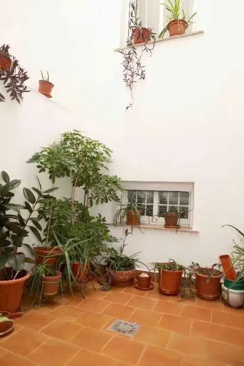 House with terrace for sale in San Pablo