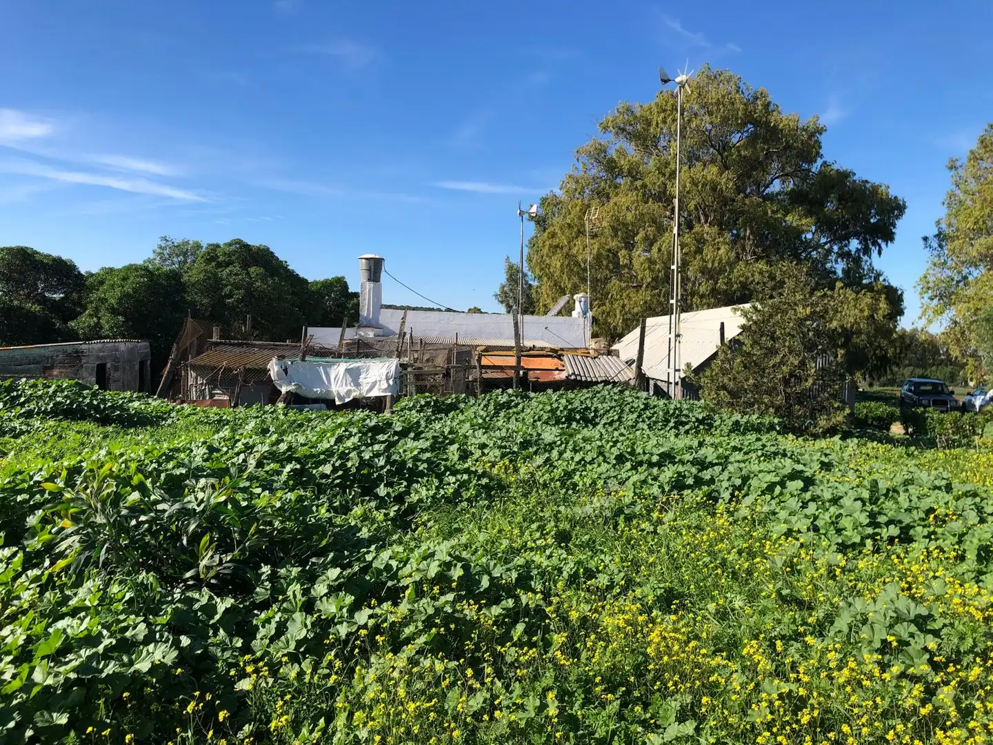 Country house for sale in Vejer, imagen 9