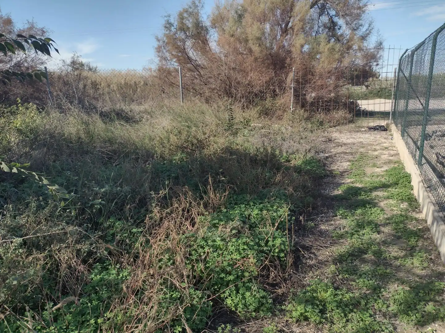 Terrenys i solars en venda a Vereda del rincon del Gallego, imagen 4