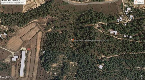 Finca rústica Pda. Devesa i Pda. Segrelles, imatge 2