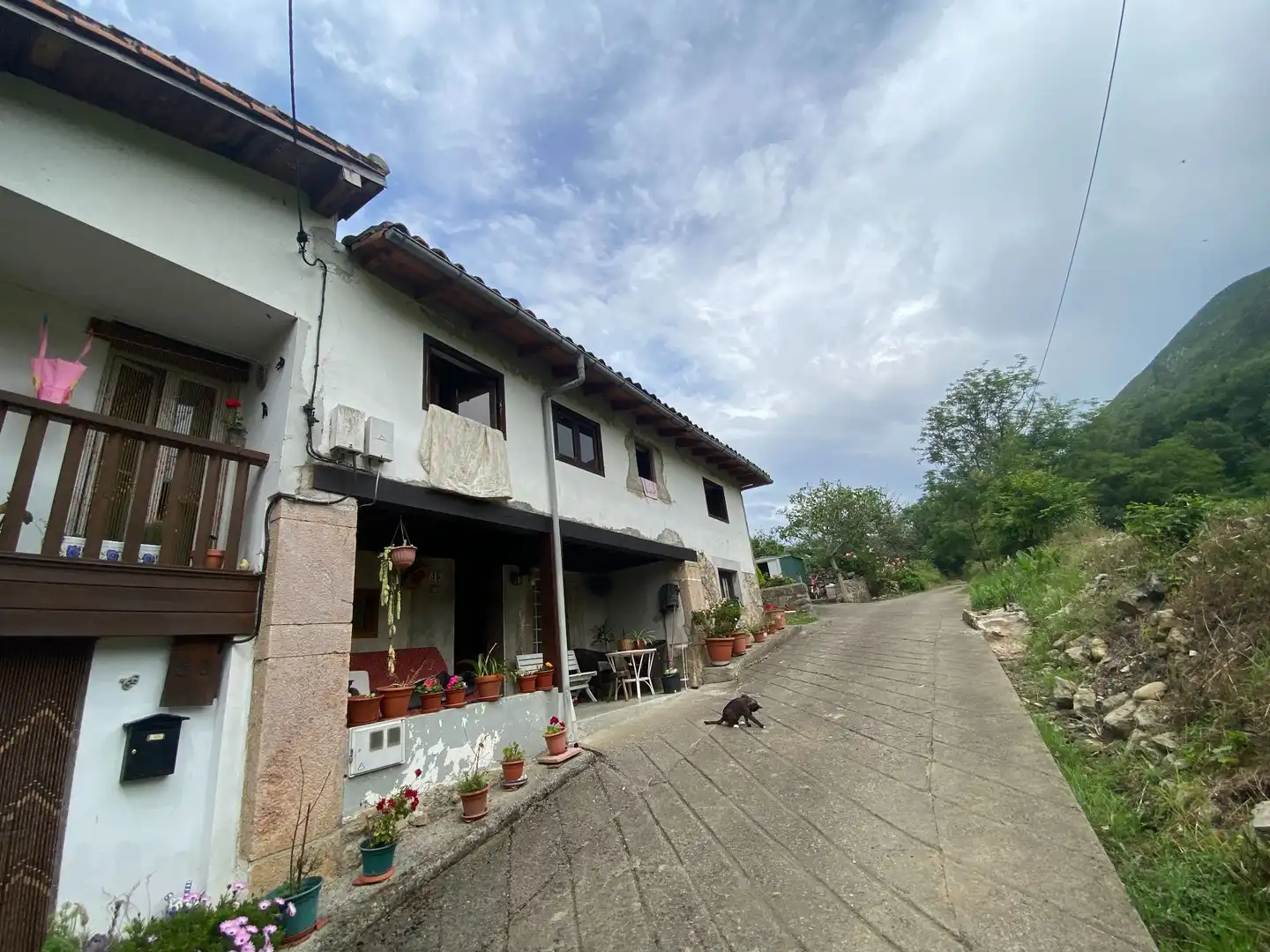 Exterior view of Houses for sale in Cangas de Onís  with Private garden